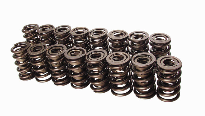 Race Endurance 1.560in OD Dual Springs <br> 2.050in Installed Height, 16 Springs