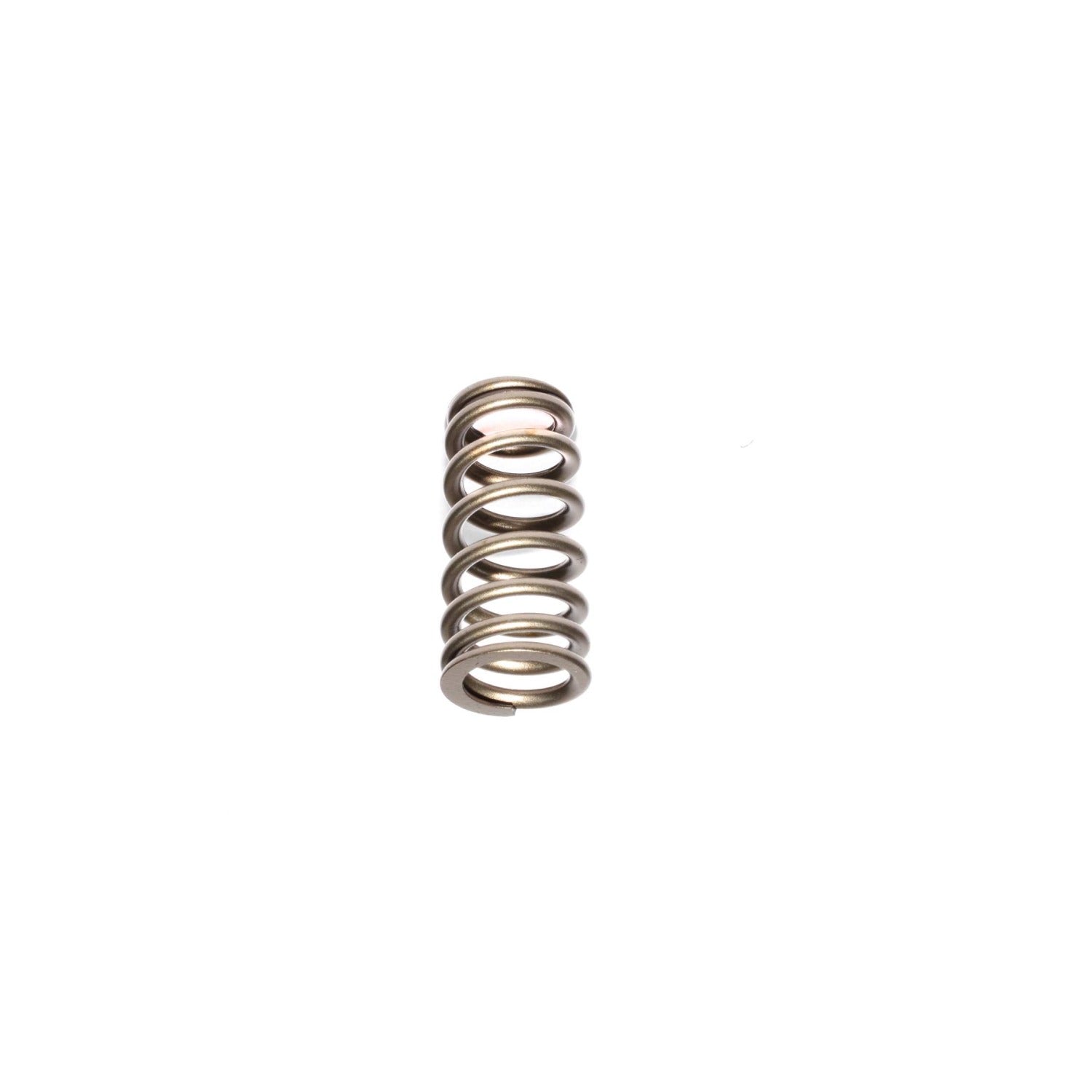 Race Street 1.101in OD Beehive Valve Spring <br> 1.640in Installed Height