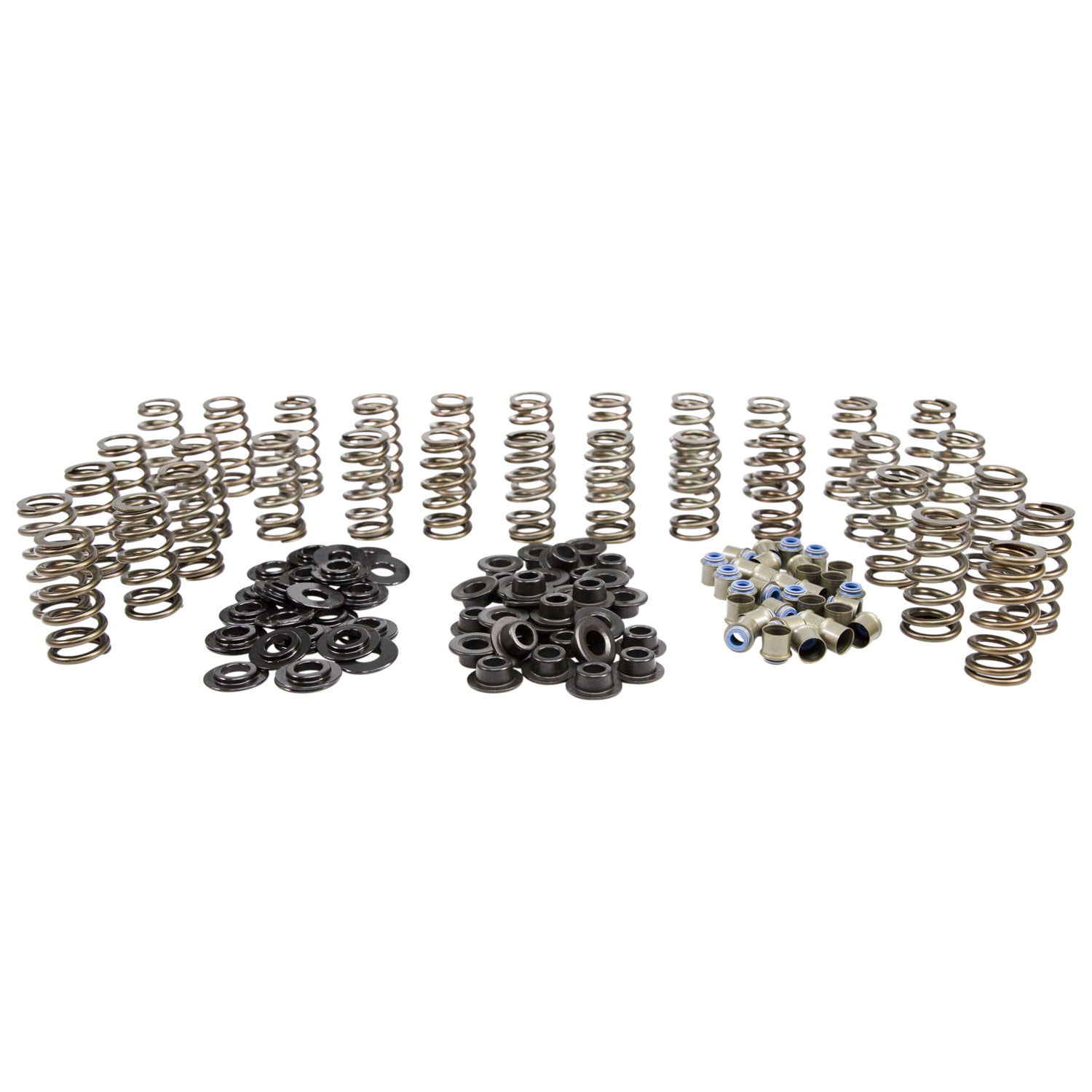 Beehive Spring Kit <br> for 06-16 GM 6.6L Duramax Diesel