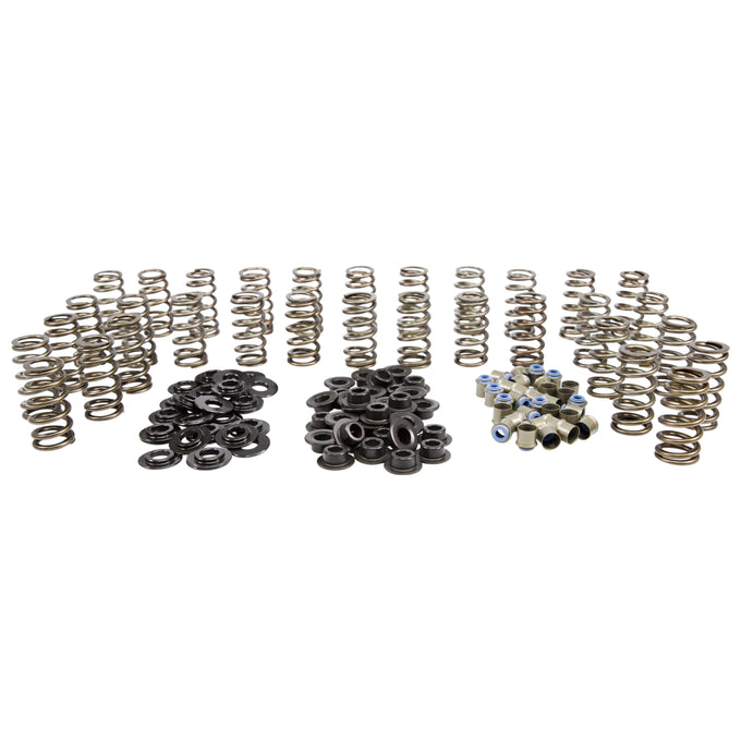 Beehive Spring Kit <br> for 06-16 GM 6.6L Duramax Diesel