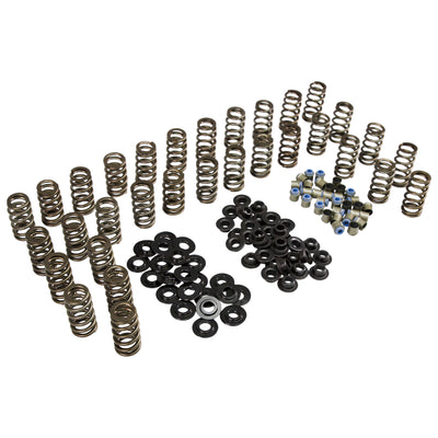 Beehive Spring Kit <br> for 06-16 GM 6.6L Duramax Diesel