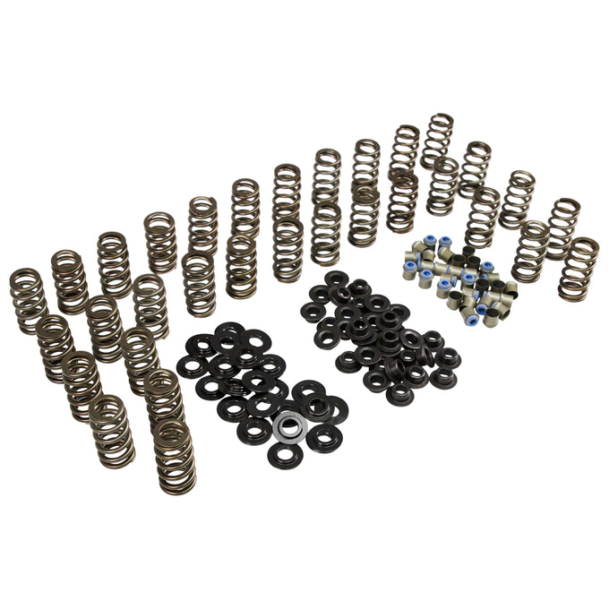 Beehive Spring Kit <br> for 06-16 GM 6.6L Duramax Diesel