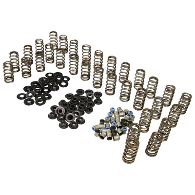 Beehive Spring Kit <br> for 06-16 GM 6.6L Duramax Diesel