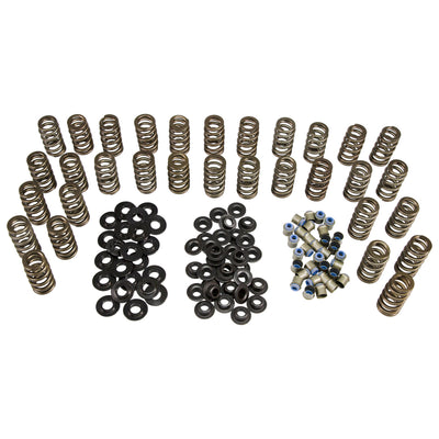 Beehive Spring Kit <br> for 06-16 GM 6.6L Duramax Diesel