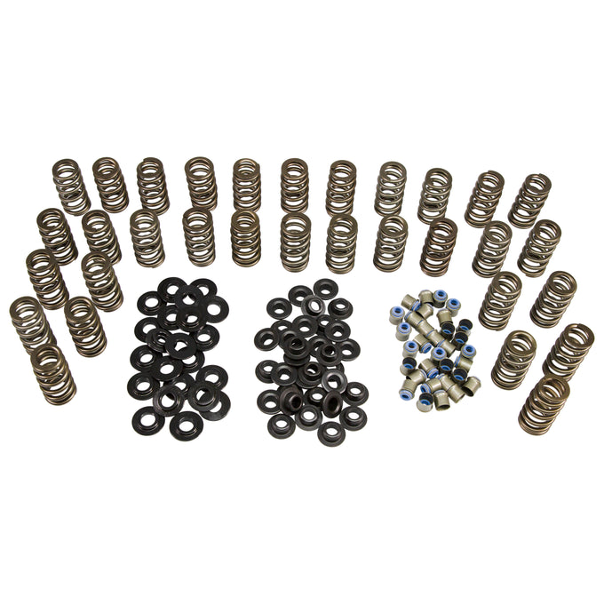 Beehive Spring Kit <br> for 06-16 GM 6.6L Duramax Diesel