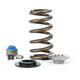 Coyote Beehive Spring Kit w/ Titanium Retainers <br> 11-17 Ford Mustang F-150 Lobo, Lincoln Mark LT