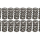 .700in Max Lift Dual Valve Springs <br> for GM LS7, LT1 & LT4 Engines