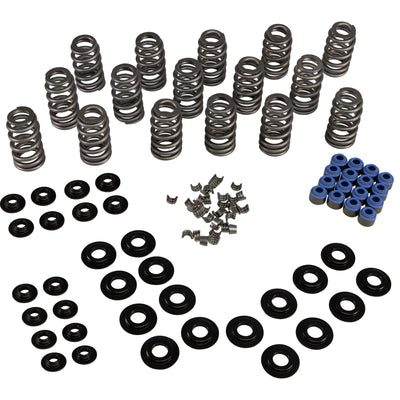 .600in Lift Beehive Spring Kit w/ Steel Retainers <br> for 03-08 Dodge 5.7L HEMI