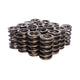 Race Street 1.320in OD Dual Springs <br> 1.770in Installed Height, 16 Springs