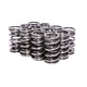 Race Street 1.320in OD Dual Valve Spring <br> 1.810in Installed Height, 12 Springs