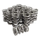 Dual Spring Set <br> 1.550 OD 1.900 IN .740 Lift