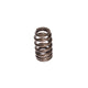 Performance Street 1.415in OD Beehive Valve Spring <br> 1.700in Installed Height