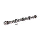Magnum Hydraulic Roller Camshaft <br> 63-95 Small Block Ford 221-302 V8