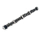 Drag Race Hydraulic Flat Tappet Camshaft <br> 63-77 Ford 352-428