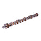 Xtreme Energy Hydraulic Roller Camshaft <br> 68-95 Ford 429,460