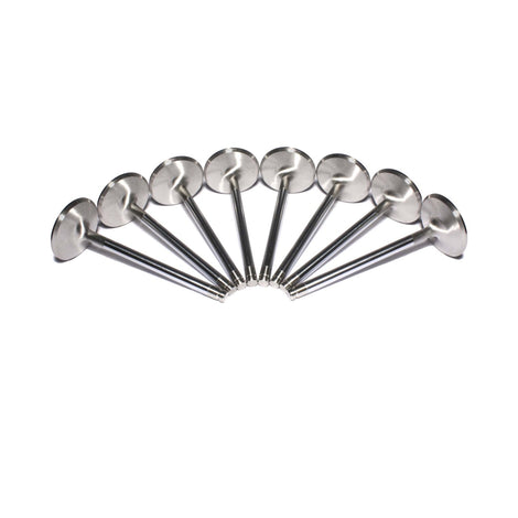 Stainless Steel Intake Valve Set 2.02 X 4.9 in <br> GM Gen III LS1/LS2/LS6