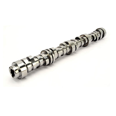 XFI AFM Hydraulic Roller Camshaft <br> 14-19 Chevy Silverado GMC Sierra 1500 Tahoe Yukon XL