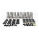 GM LS Conical Valve Spring Kit <br> 0.615in Lift