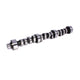 Xtreme Energy Hydraulic Roller Camshaft <br> 96-05 Chevy Camaro, Buick Regal, Oldsmobile 88 LSS