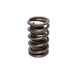 Performance Street 1.509in OD Valve Spring <br> 1.900in Installed Height