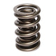 Valve Spring Nascar <br> Universal Fit
