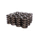 Engine Valve Spring Kit <br> 1.07 in ID, 1.464 in OD