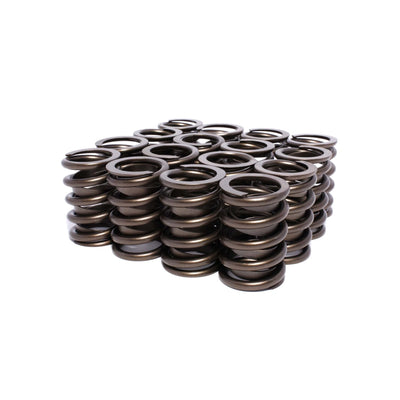 Engine Valve Spring Kit <br> 1.07 in ID, 1.464 in OD