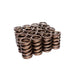 Race Sportsman 1.269in OD Single Valve Spring <br> 1.750in Installed Height
