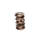 Engine Valve Spring <br> 1.111 in ID, 1.585 in OD