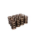 Race Endurance 1.565in OD Dual Springs <br> 2.000in Installed Height, 12Springs