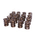 Race Endurance 1.565in OD Dual Springs <br> 2.000in Installed Height, 16 Springs