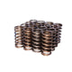 Engine Valve Spring Kit <br> 0.697 in ID, 0.937 in OD