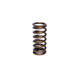 Engine Valve Spring <br> 0.697 in ID, 0.953 in OD