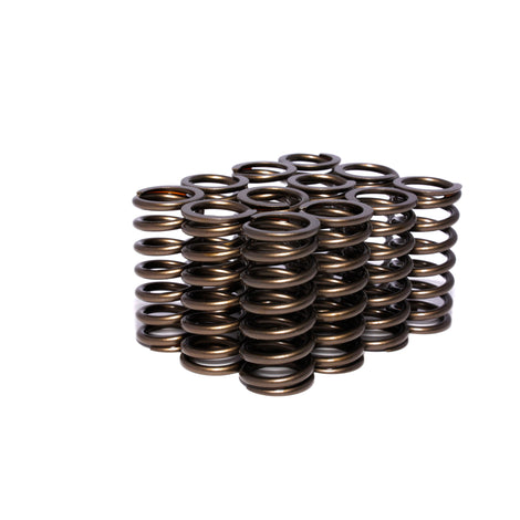 Valve Springs 0.960in Inner R <br> Universal Fit