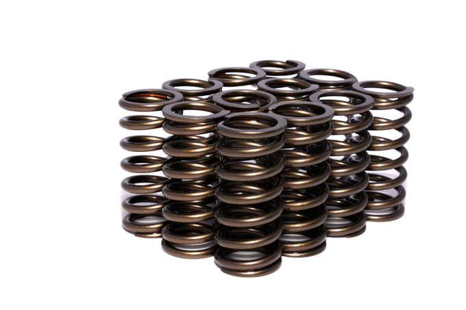 Valve Springs 0.960in Inner R <br> Universal Fit