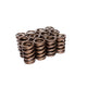 Valve Springs 1.250in Ovate <br> Universal Fit