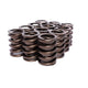 Valve Springs 1.430in Outer <br> Universal Fit