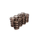 Valve Springs For 984-974 <br> Universal Fit