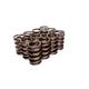 Valve Springs <br> For 990-975