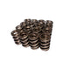 Engine Valve Spring Kit <br> 1.094 in ID, 1.551 in OD