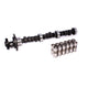 Hydraulic Flat Tappet Cam & Lifter Kit <br> Buick 181-252 Even Fire V6