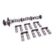 High Energy Hydraulic Roller Cam & Lifter Kit <br> 78-88 Buick 181-252 V6