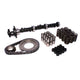 Hydraulic Flat Tappet Camshaft <br> Buick 181-252 Even Fire V6