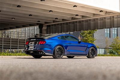 Dual Rear Cat-Back- Stainless Dual Rear Exit <br> 2015-2020 Ford Mustang