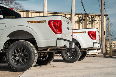 3in to 2.75in Cat-Back Dual Rear Exit w/ 4in Tips <br> 2023-2025 Ford F-150