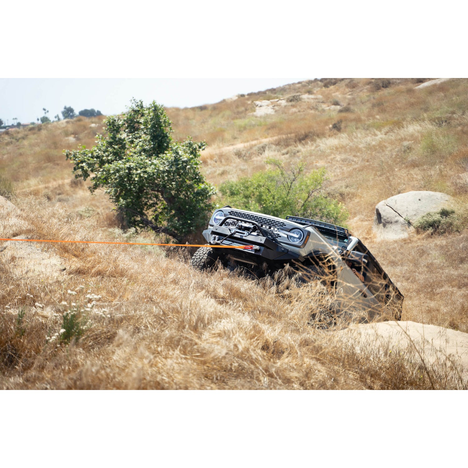 Black DV8 Elite Series D-Rings (Pair) <br>Universal