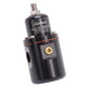 Fuel Pressure Regulator <br> Universal Fit