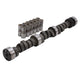 Engine Camshaft and Lifter Kit <br> 78-84 Chevy Impala GMC Caballero