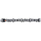 Engine Camshaft <br> Small Block Ford Windsor 289/302 Engines
