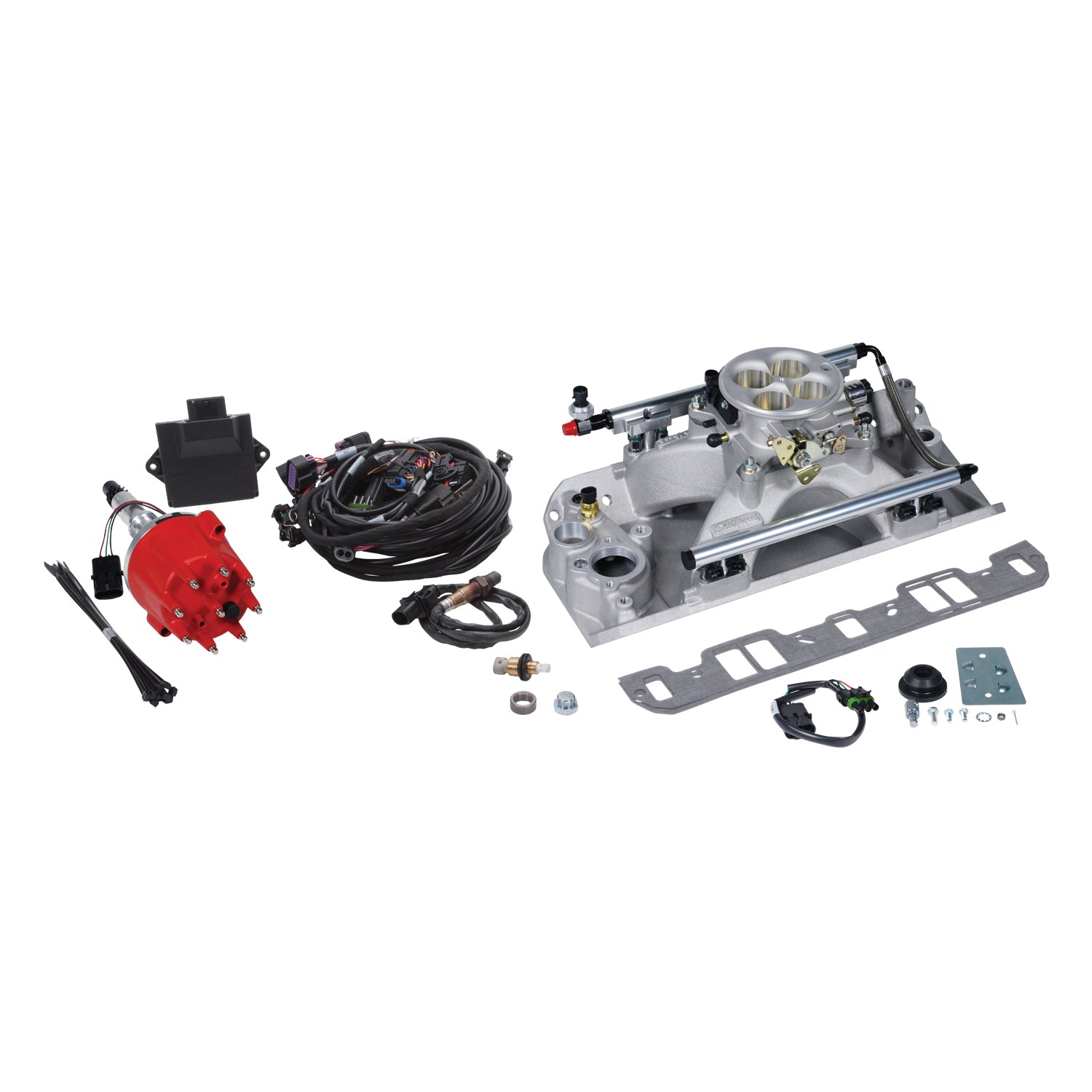 Pro Flo 4 Fuel Injection Kit <br> 1979 American Motors Spirit